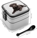dog-bento-box-double-layer-lunch-box-for-2.jpg