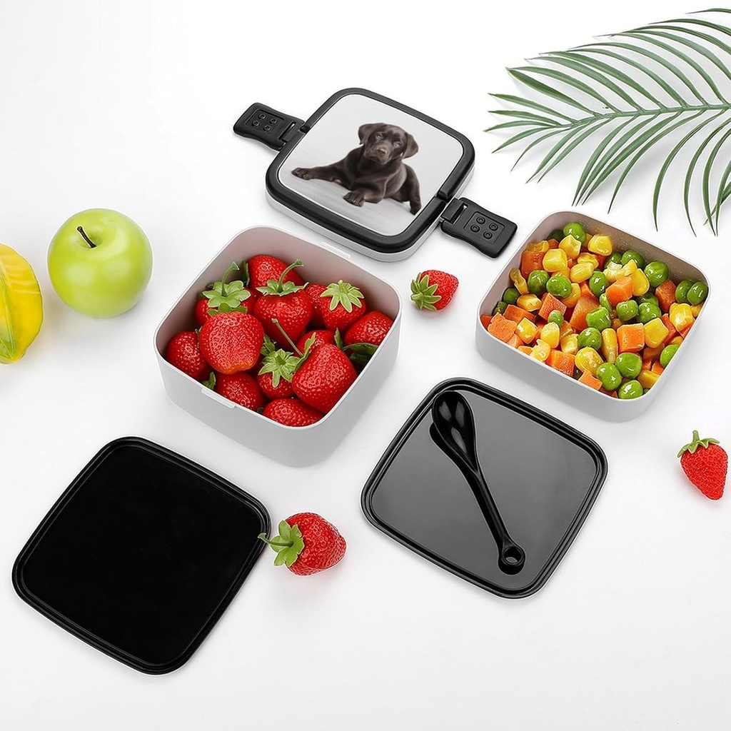 dog-bento-box-double-layer-lunch-box-for-3.jpg