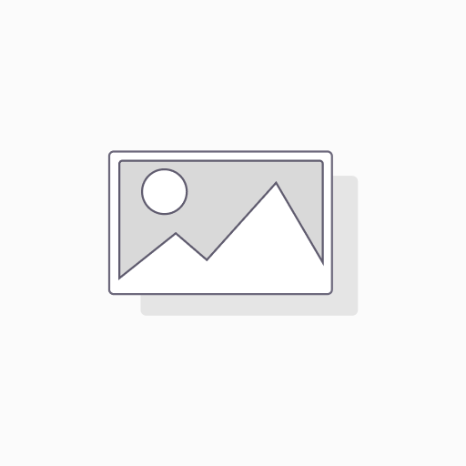 Walnuts Halves & Pieces, Raw 5 lbs. - Sincerely Nuts